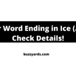 5 Letter Word Ending In Int