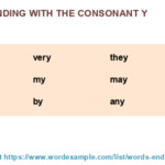 5 Letter Word Starting With Co And Ending In Y