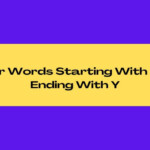 5 Letter Word Starting With Co Ending In Y