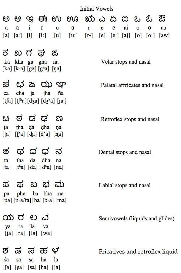 5 Letter Words Ending In Ta