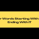 5 Letter Words Ending In U N