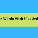 5 Letter Words Starting With O Ending With Et