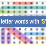 5 Letter Words Starting With S Ending With R